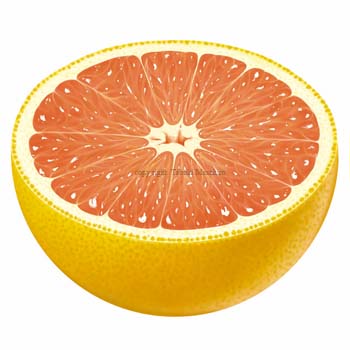 grapefruit7